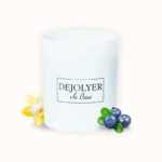 Perfume en Vela Arándanos & Vainilla | Dejolyer perfume en vela Artesanal & Sostenible Oasis de Inspiración