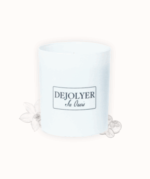 Perfume en Vela Arándano & Vainilla Artístico Dejolyer