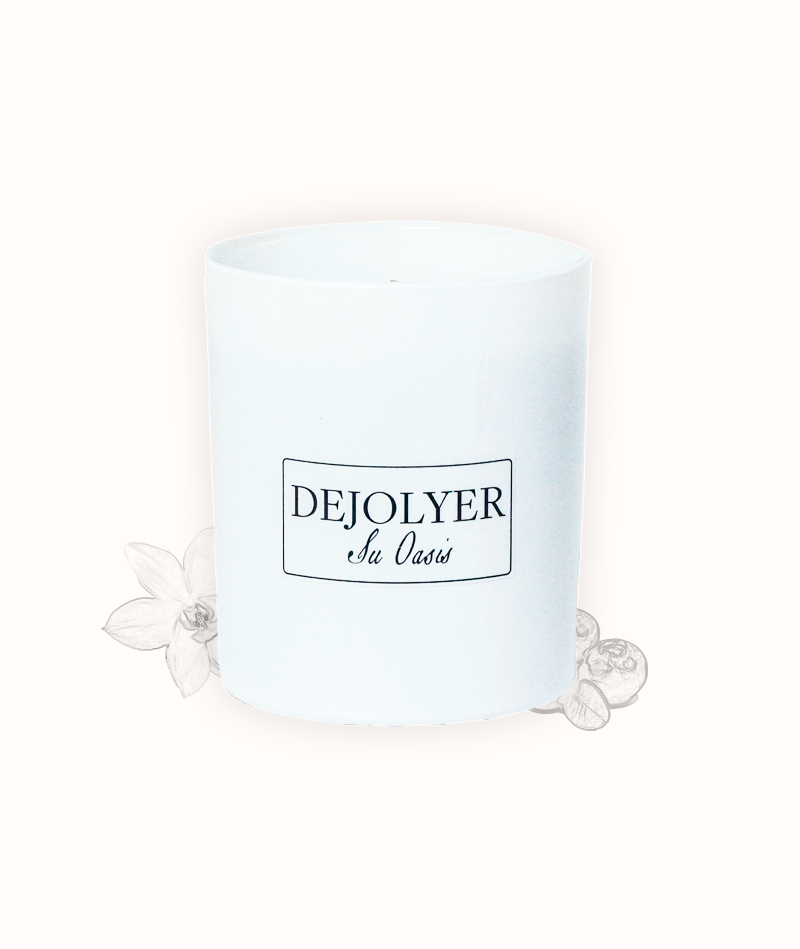 Arándano & Vainilla 1 Perfume en Vela Arándano & Vainilla Artístico Dejolyer