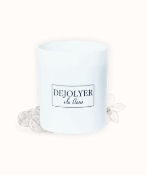 Perfume en Vela Vainilla Delicia Artístico Dejolyer