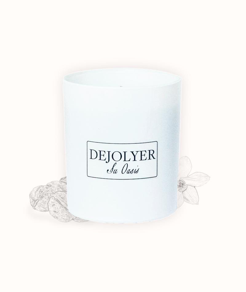 Vainilla Delicia 5 Perfume en Vela Vainilla Delicia Artístico Dejolyer