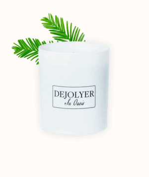 Perfume en Vela Cedro del Himalaya & Jazmín | Dejolyer perfume en vela Artesanal & Sostenible Oasis de Inspiración