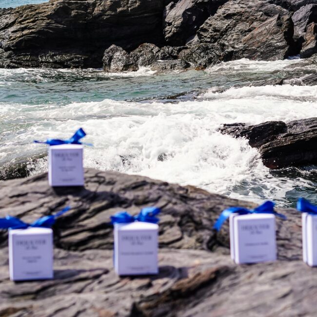 Dejolyer Dejolyer | Página oficial