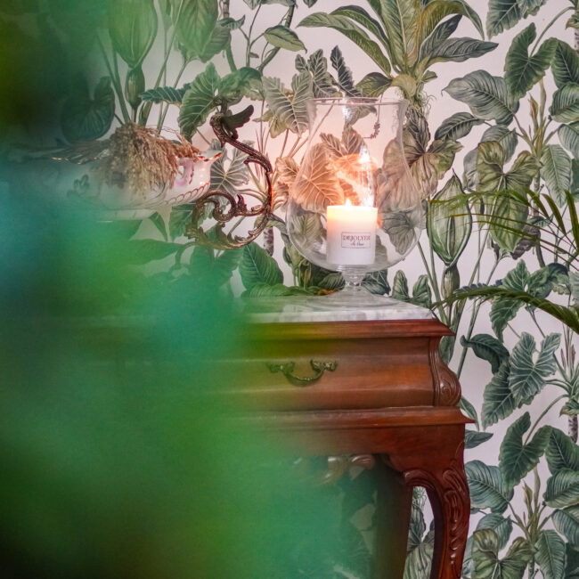 El arte del Taurumi dejolyer bienestar e inpisración